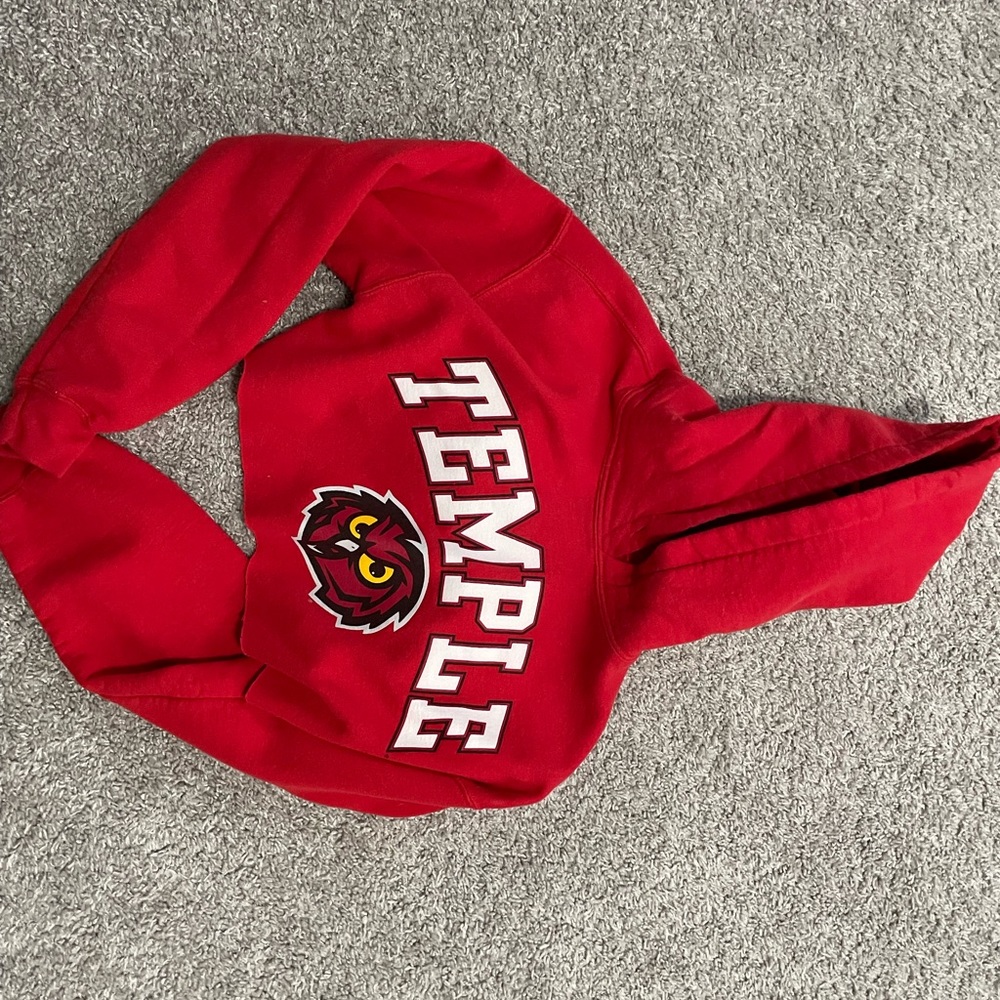 Womens cropped Temple hoodie
